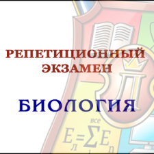 Репетиционный экзамен - Биология 2024 (электронный ресурс) - фото